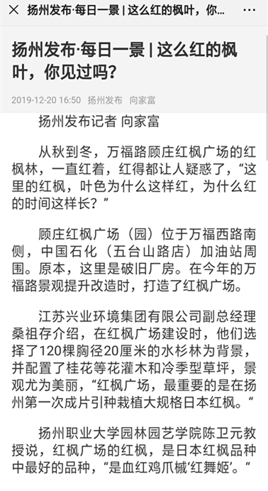 QQ图片20191221140325_副本.jpg